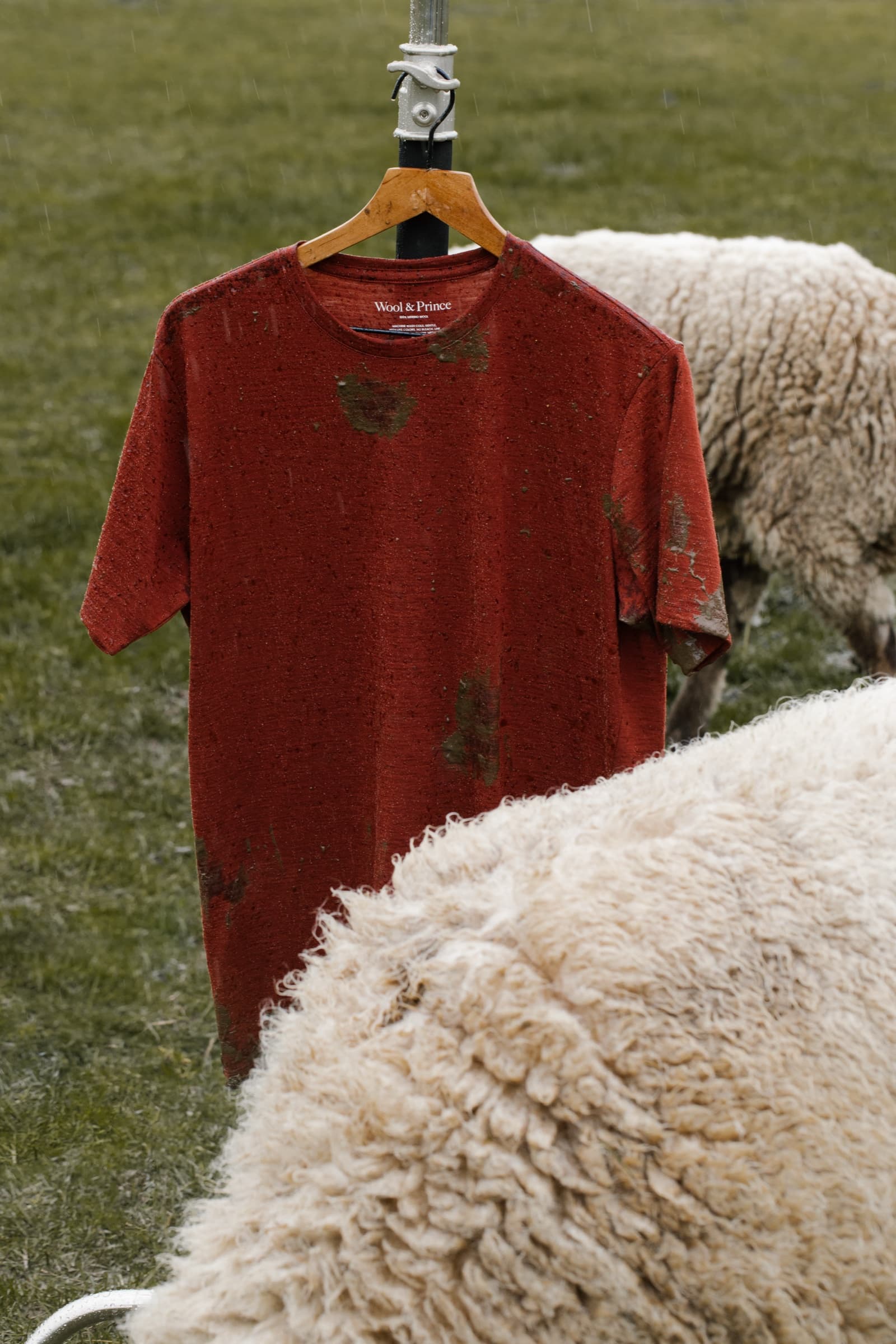 Wool & Prince tee on a hanger with sheep